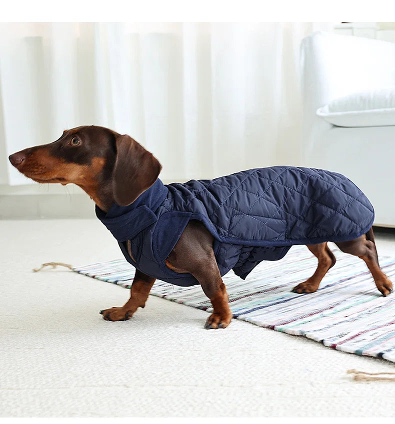 Long Dog Winter Jacket – Water-Repellent Dachshund Coat